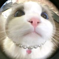 original sound - Kyi Nyein💓🌼