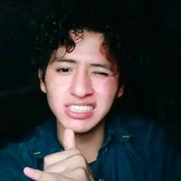 regulusvelasc4