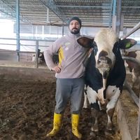 ibrahimaslanhan27