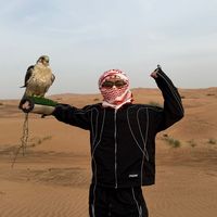 original sound - Hafiz Zaynee