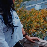 mehi_qlzl