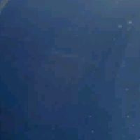 m._fp7
