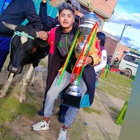 la11__joseluisguarachi