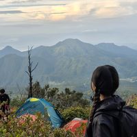 suara asli - yaaa