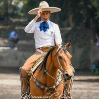 guillermo.coquis