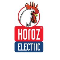 horozelectric