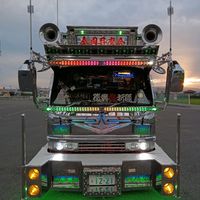 dywbag1esi8q