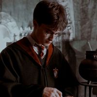 harry.james.potter249