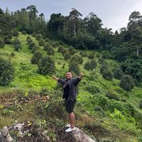 dinsamui52