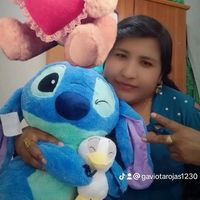 gaviotarojas1230