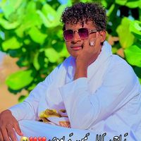 user8233024913566