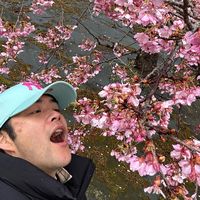 shingo711