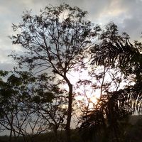 suara asli - ulul