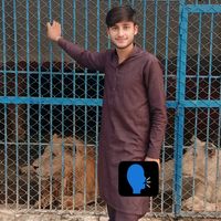 arbabmughal7866