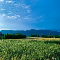 original sound - lyrics_dictionary01