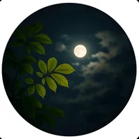 original sound - alhot906