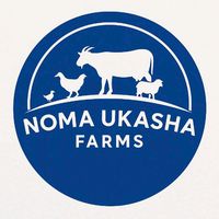 nomaukasha8721