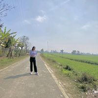 bforbharti
