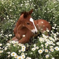 agro.edit2