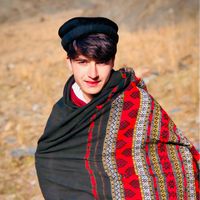 alijarn2