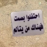 الصوت الأصلي
