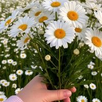 19_fatma19