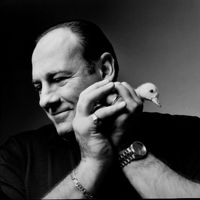 оригінальний звук