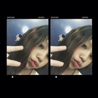 lin.lin51644