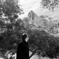 الصوت الأصلي