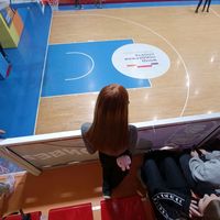 vinisia_ll