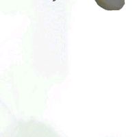 orijinal ses