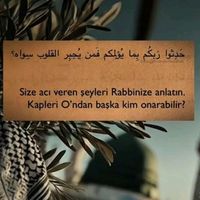 zenan.11