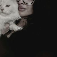 msgurl__1