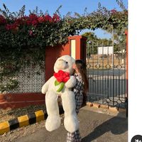 apna.punjab222