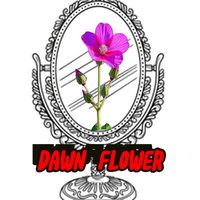မူရင်းအသံ - @Dawn Flower.SYSS