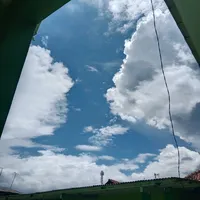 original sound - seccrinii