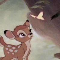 شيعة علي