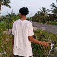 original sound