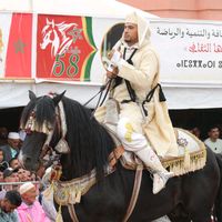 rachid_eddahmani