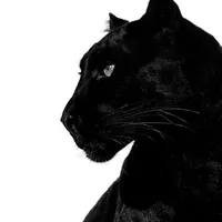 original sound - aneli__021
