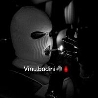 vinku.badinii04