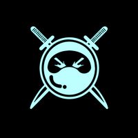ninjaon2499