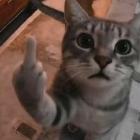 original sound - 배태