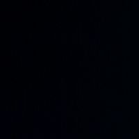 notis394