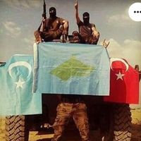 orijinal ses