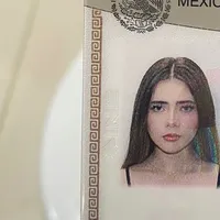 excuse me has anybody seen a white rabbit