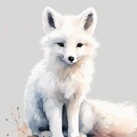 เสียงต้นฉบับ - 白狐狸-จิ้งจอกขาว