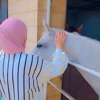 mira.moukhadder