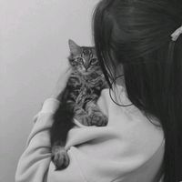 maybe_aqsaa