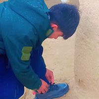 user27018119222116